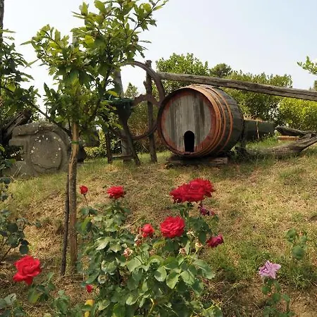Hotel Archimede Reggello