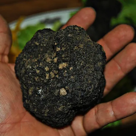 Archimede Szálloda 3*